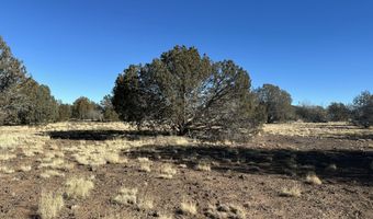 2249 Cienega Dr, Ash Fork, AZ 86320
