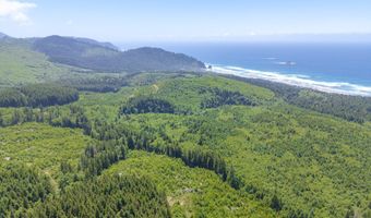 Shark Creek Ln, Arch Cape, OR 97102