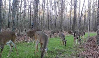 439 WILD ROSE Trl, Ashville, AL 35953