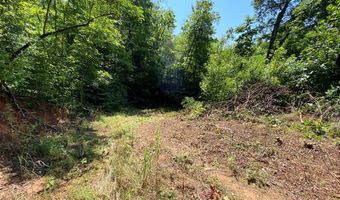 Lot 4 Red Dog Ln, Whittier, NC 28719