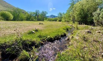 9885 Challis Creek Rd, Challis, ID 83226