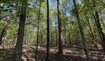 3 Highway 790, Ackerman, MS 38963