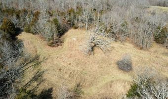 Rr 1 Box 6548, Ava, MO 65608