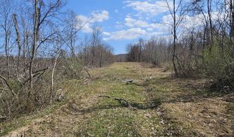 295 Shellstone Rd, Amsterdam, NY 12010