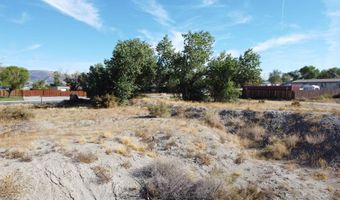 698 Jenny's Ln, Fernley, NV 89408