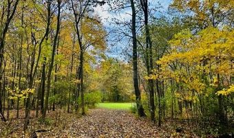 1084 38th St, Allegan, MI 49010
