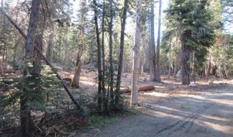 175 Silver Tip Dr, Bear Valley, CA 95223