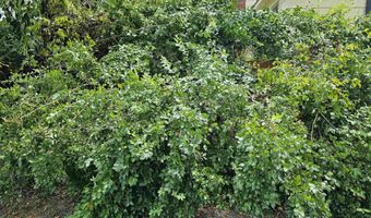 904 Sunnyhill Dr, Camden, SC 29020