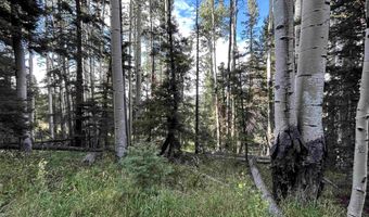 2 Back Basin Rd, Angel Fire, NM 87710