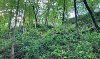 N3953-89 Bear Pen Road, Arkansaw, WI 54721