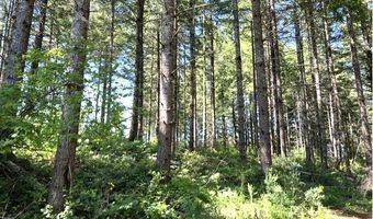 Tunnel Tract Parcel1, Banks, OR 97106