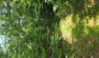 1408 Coleman Mountain Rd, Appomattox, VA 24522