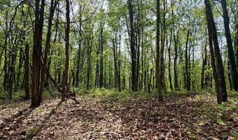 1271 A Tunnel Ridge Rd, Argillite, KY 41121