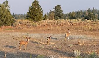 0 Bridle Rd, Alturas, CA 96101