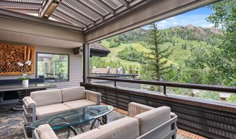 730 S Galena St, Aspen, CO 81611