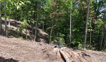 Lot 44 Bayside Boulevard, Bean Station, TN 37708