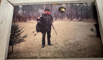 2254 E M30, Alger, MI 48610