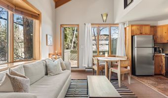 125 E Hyman Ave 1A, Aspen, CO 81611