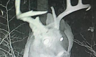 0 McKinley Guffey, Albany, KY 42602