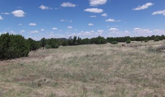 TBD Parcel 106-69-005G, Vernon, AZ 85940