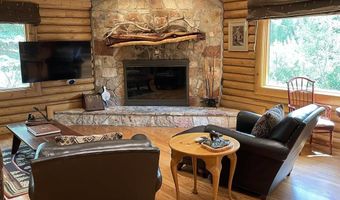 209 Deer Path Ln, Almont, CO 81230