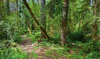 64601 E BRIGHTWOOD LOOP Rd, Brightwood, OR 97011