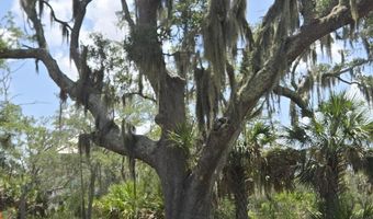 7 Turnstone Dr N, Beaufort, SC 29907