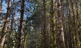Logsden Rd, Blodgett, OR 97326