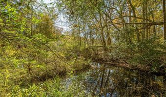 335 Wages Rd, Auburn, GA 30011