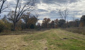 000 Tbd County Rd T-541, Ava, MO 65608