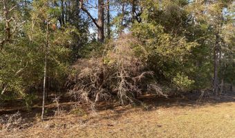 Largo Street, Alford, FL 32420