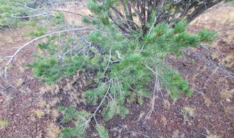 1 COUNTY ROAD N8155, Concho, AZ 85924