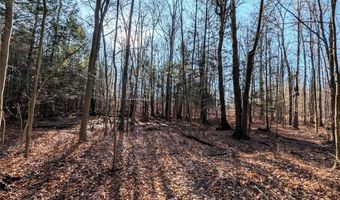 South Road, Addison, NY 14801