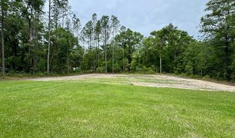 6367 16th Ave, Bell, FL 32693