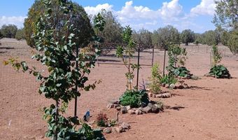 Raz Road lot 102, Ash Fork, AZ 86046