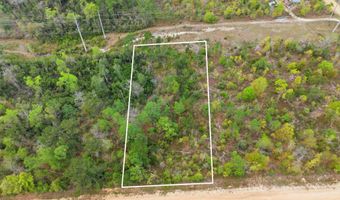 Channel Drive, Alford, FL 32420