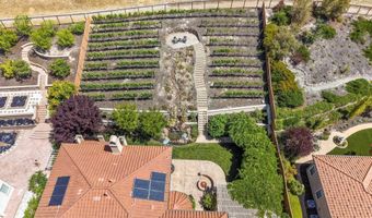 387 Golden Grass Dr, Alamo, CA 94507
