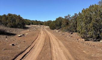 15 17 21 Pine CR8100 Dr, Concho, AZ 85924
