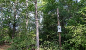 10 AC +/- Gravel Pit Lake Rd, Beaumont, MS 39423
