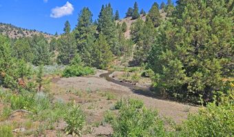 12142 Burns-Izee Rd, Seneca, OR 97873