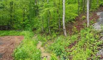 170 Lone Mountain Rd, Andersonville, TN 37705