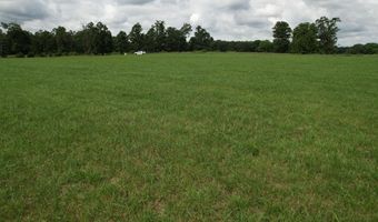 Tract 2 0000 Private Road 1184, Aurora, MO 65605