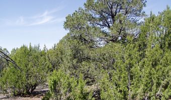 Lot 11 Uphill Trail, Vernon, AZ 85940