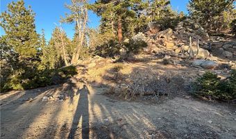 Ironwood, Angelus Oaks, CA 92305