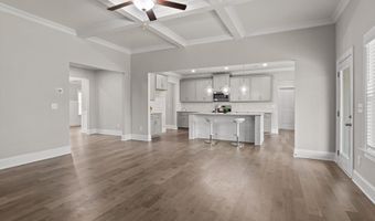 10787 Prairie Lake Dr, Apison, TN 37302