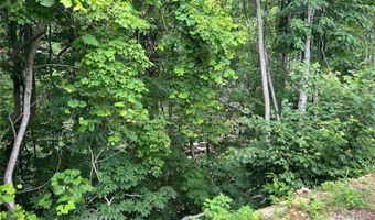 988 N Fork Rd, Barnardsville, NC 28709