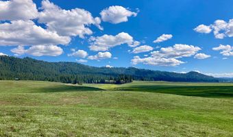 10885 Callender Rd, Cascade, ID 83611