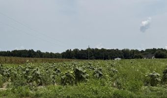 2152 Brogdon Rd, Alcolu, SC 29001