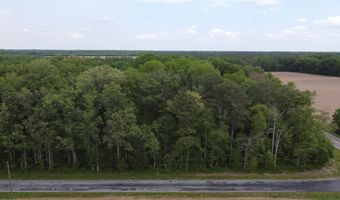Lot 11 Cedar Grove Church Road, Felton, DE 19943