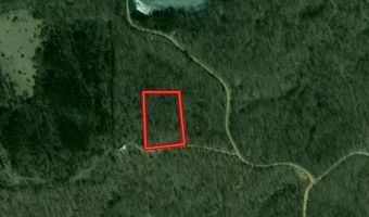 79 Bretts Trl, Annapolis, MO 63620
